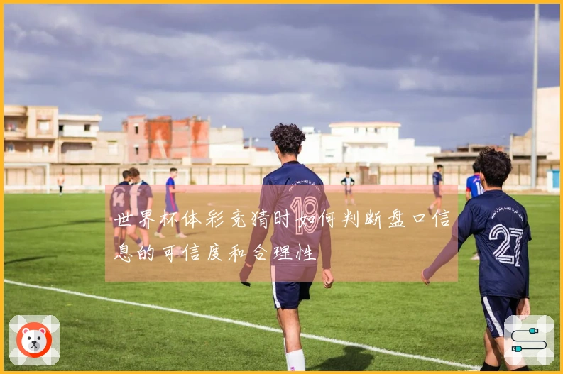 世界杯体彩竞猜时如何判断盘口信息的可信度和合理性