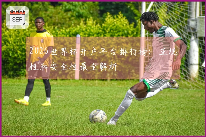 2026世界杯开户平台排行榜：正规性和安全性最全解析