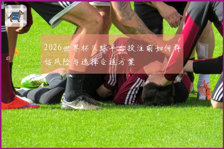 2026世界杯买球平台投注前如何评估风险与选择合适方案